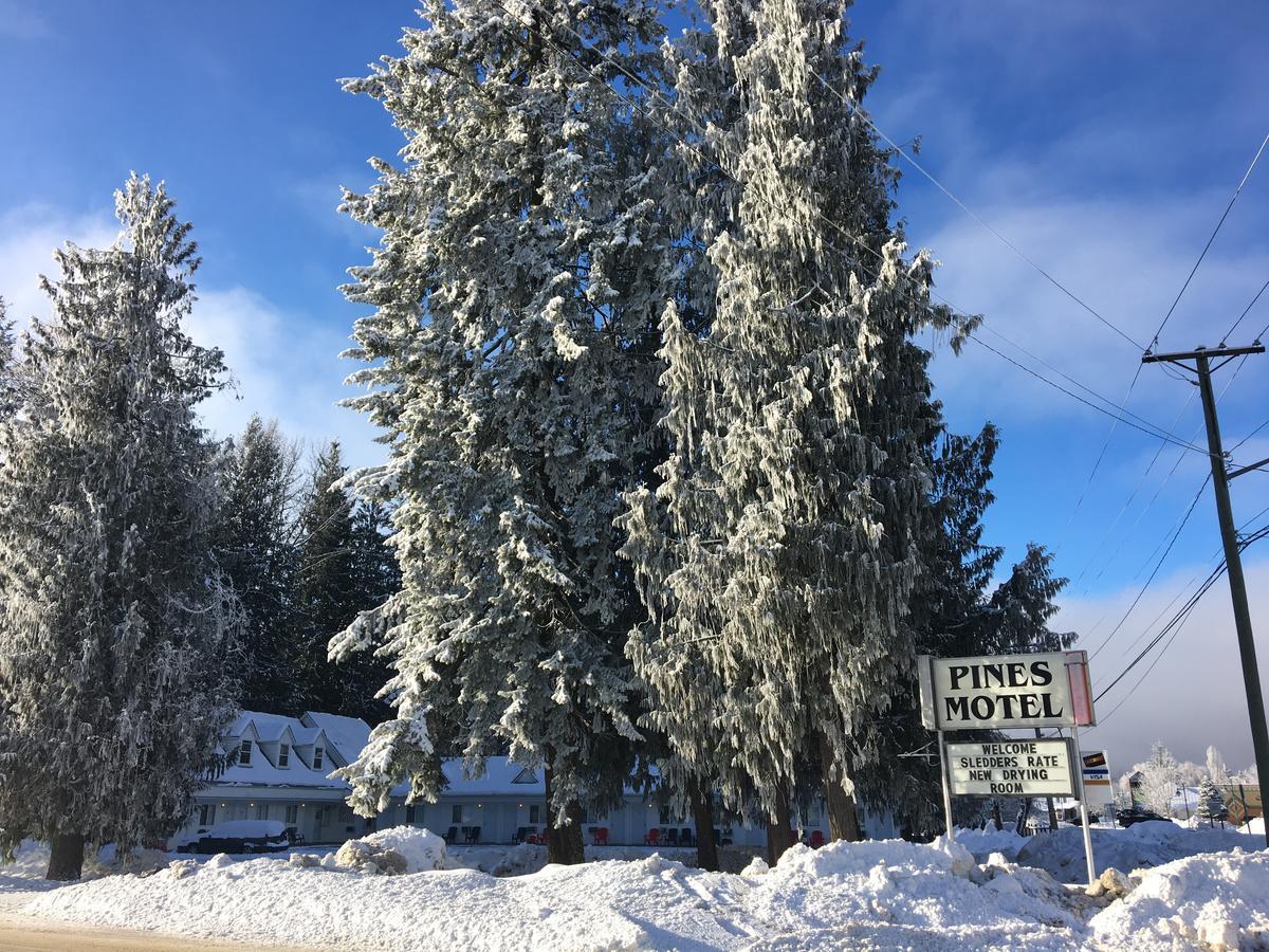 Pines Motel Sicamous Exterior foto